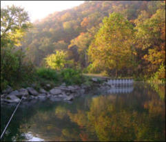 Dogwood to Roaring River 1