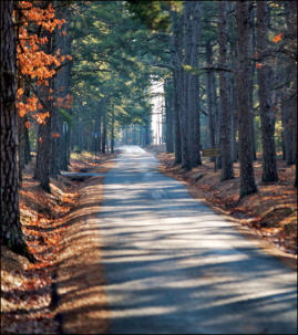 Lonely Ozark Road